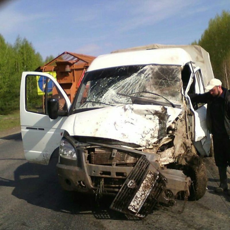 Газель врезалась в дерево