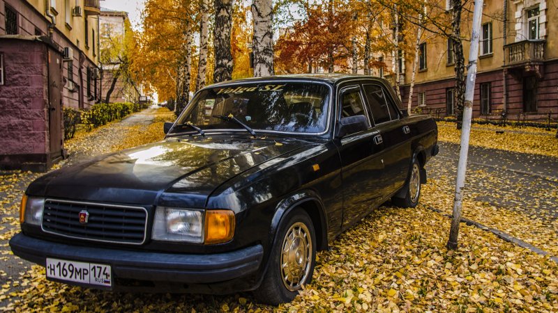 Волга 31029