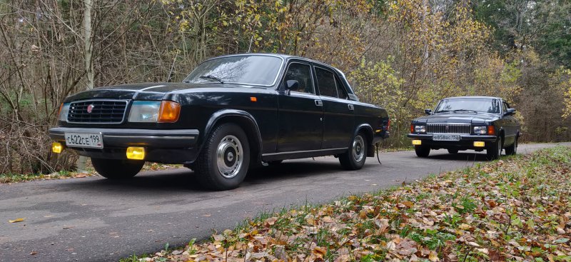 ГАЗ 31029