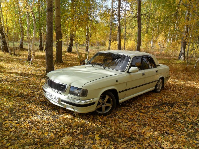 ГАЗ 3110 31 10