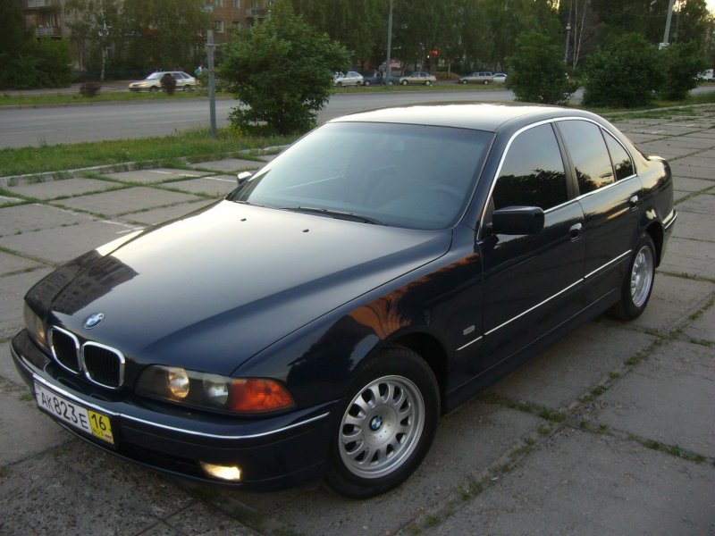 БМВ Дельфин 39