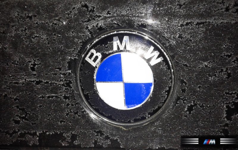 BMW e46 logo