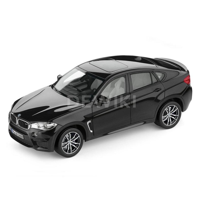 BMW x6 1 18