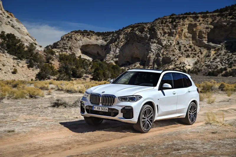 BMW x5 IV (g05)