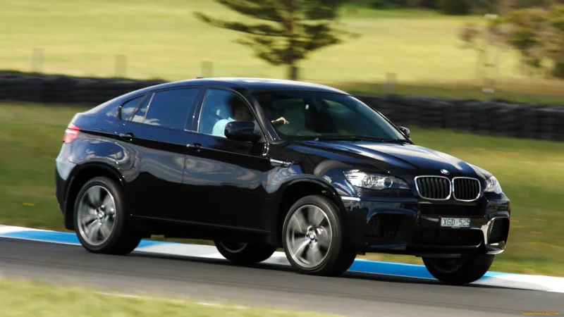 BMW X 2009