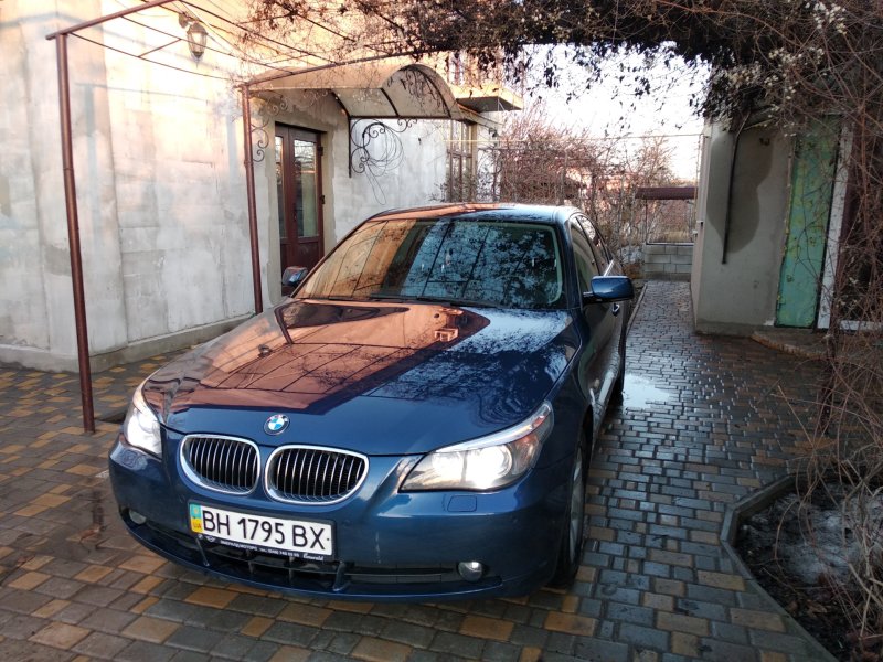 БМВ 5 2008 лиса