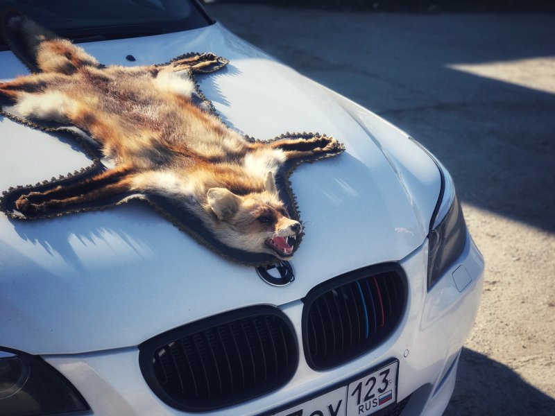 BMW 530i e60 Рестайлинг