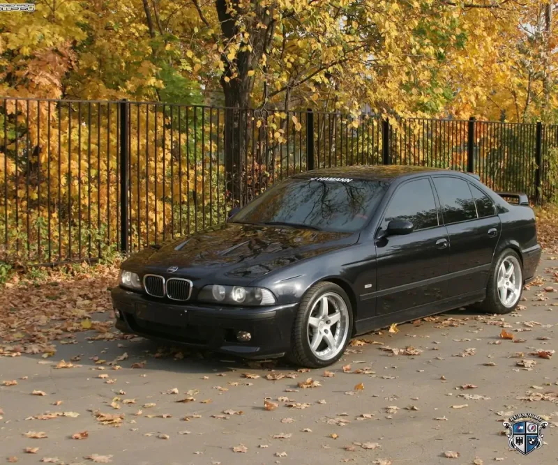 BMW 5 e39 525i