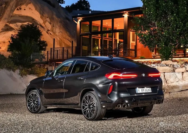 BMW x6 2021