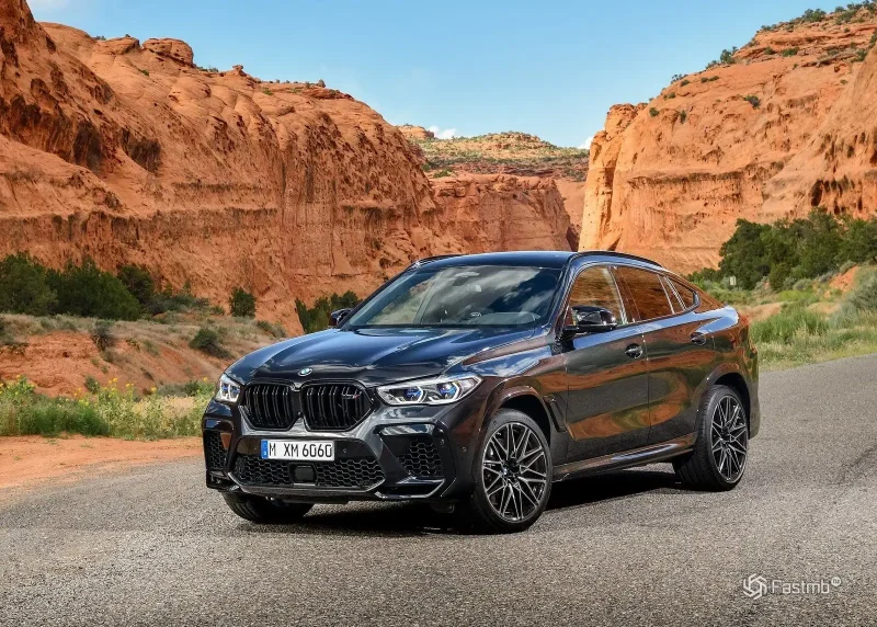 BMW x6 2021