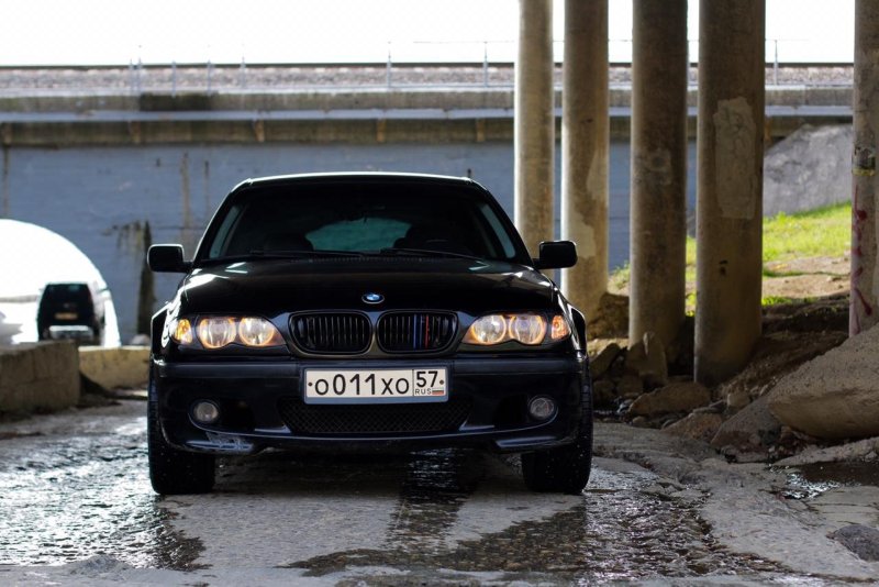 BMW 5 лиса