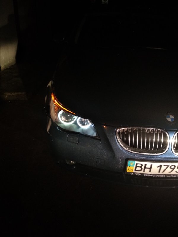 BMW 5 лиса