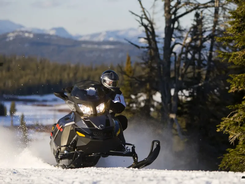 Ski-Doo снегоход в лесу