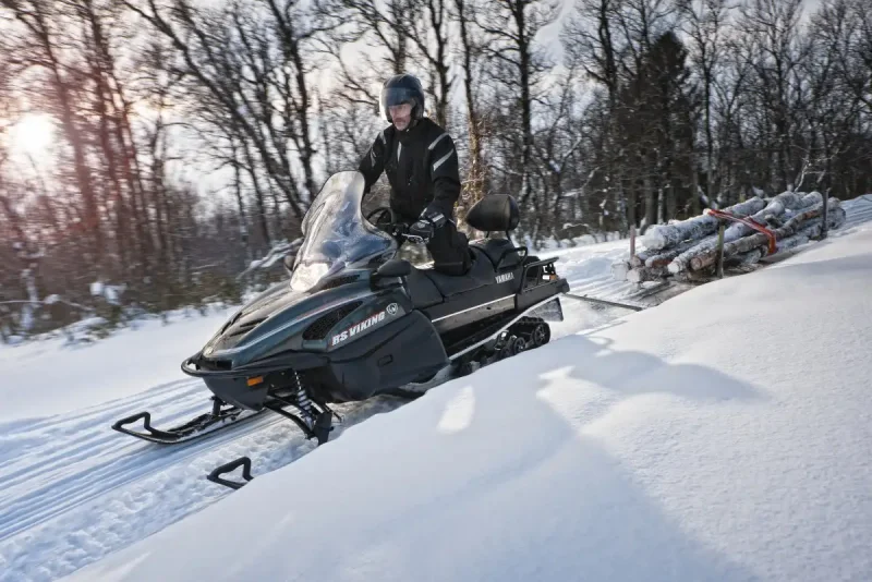 Yamaha Viking professional 2013