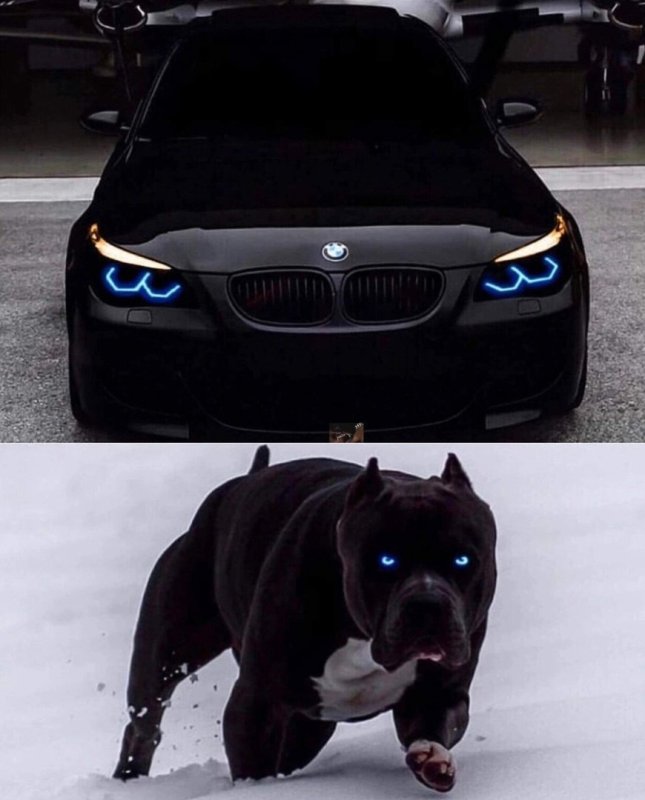 BMW f30 девушка