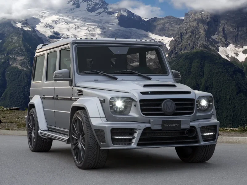 Mercedes-Benz g63 w463