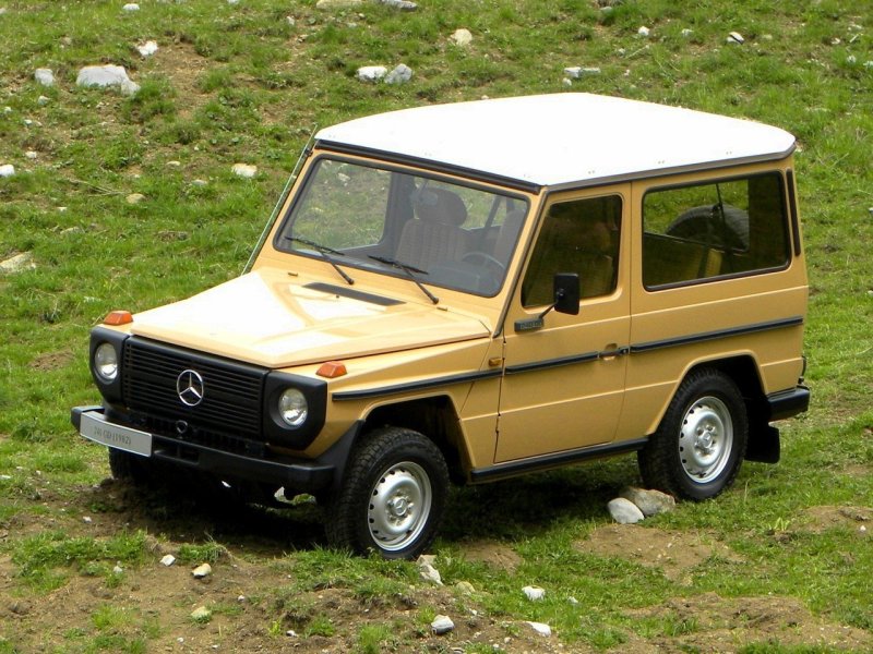 Mercedes-Benz g-class w460