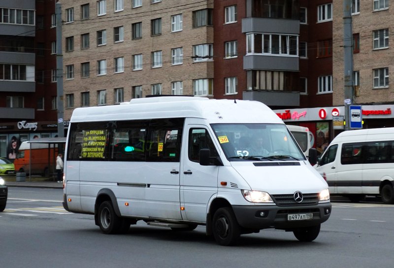 Mercedes Sprinter Дельфин