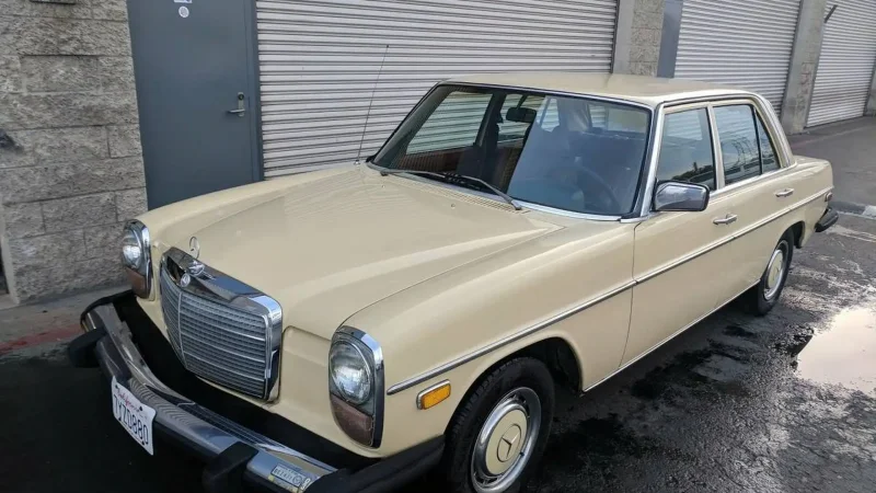 Mercedes Benz 1981