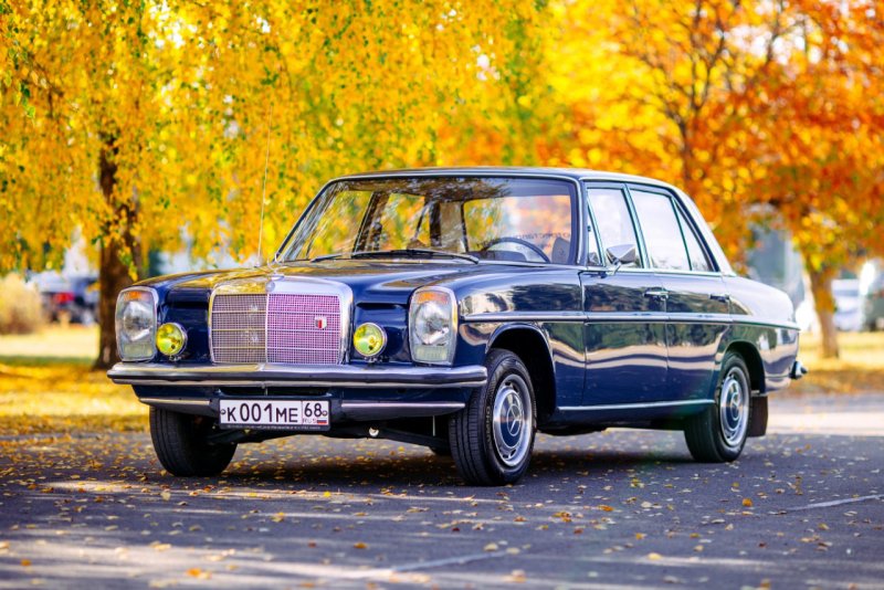 W115 Mercedes пневмо