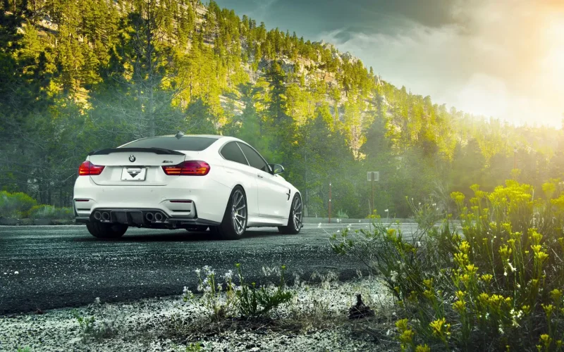 BMW m4 белая сзади