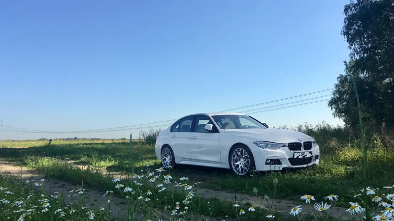 БМВ f10 лес