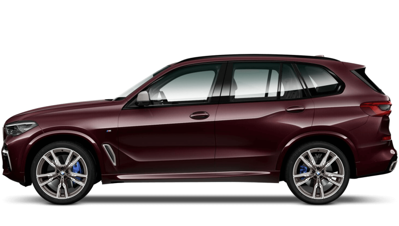 Аметрин металлик BMW x6