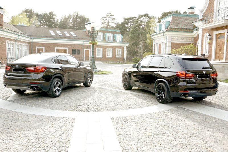Audi q8 vs BMW x6