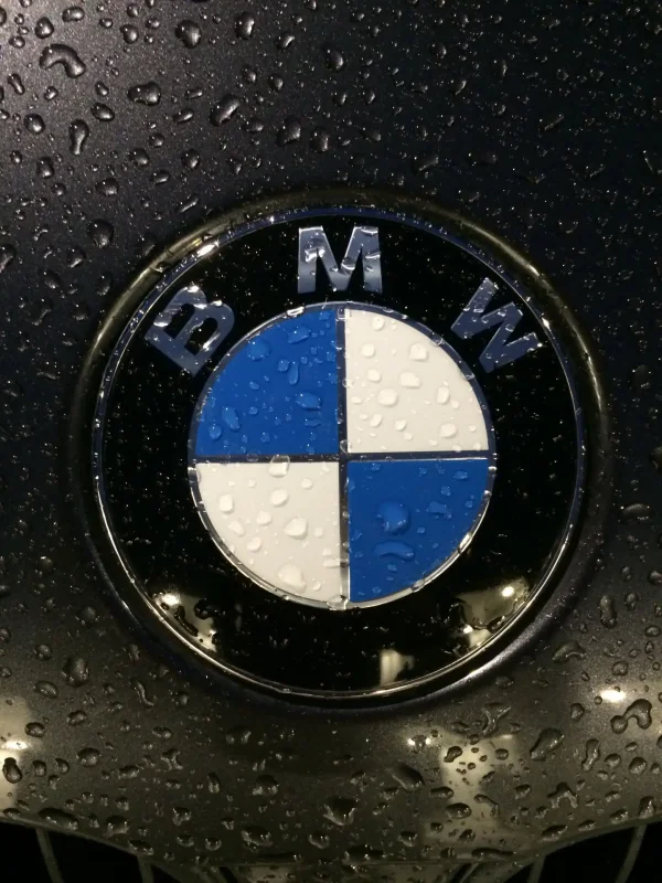 BMW logo 2022