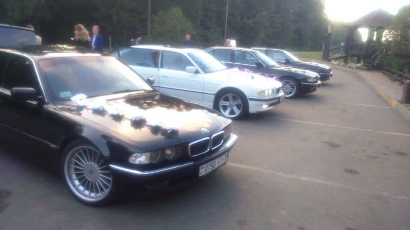 BMW 5 e28 акула