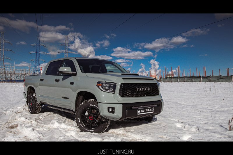 Nissan крокодил