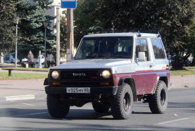 Toyota Blizzard ld20