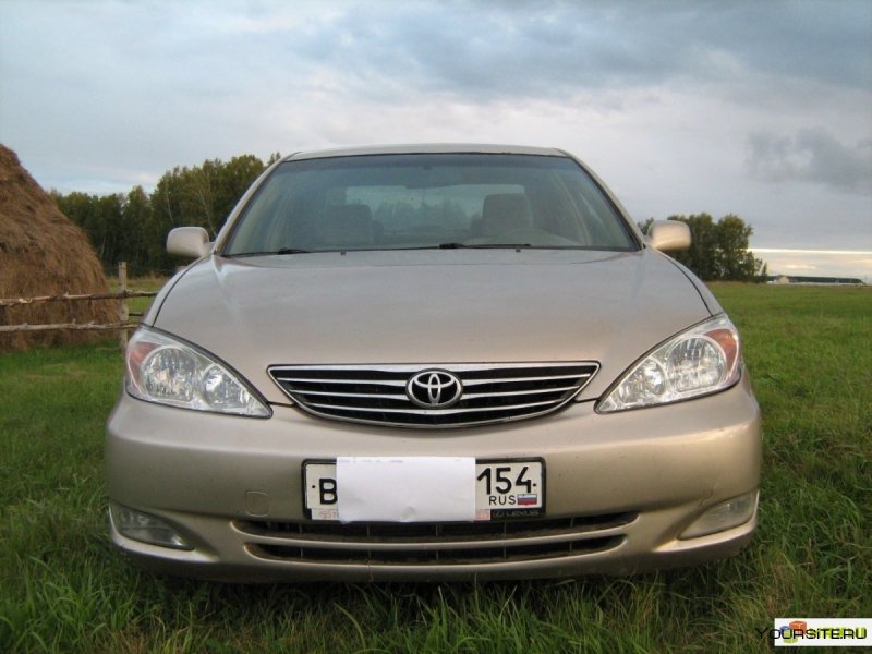 Toyota Camry Стрекоза xv30