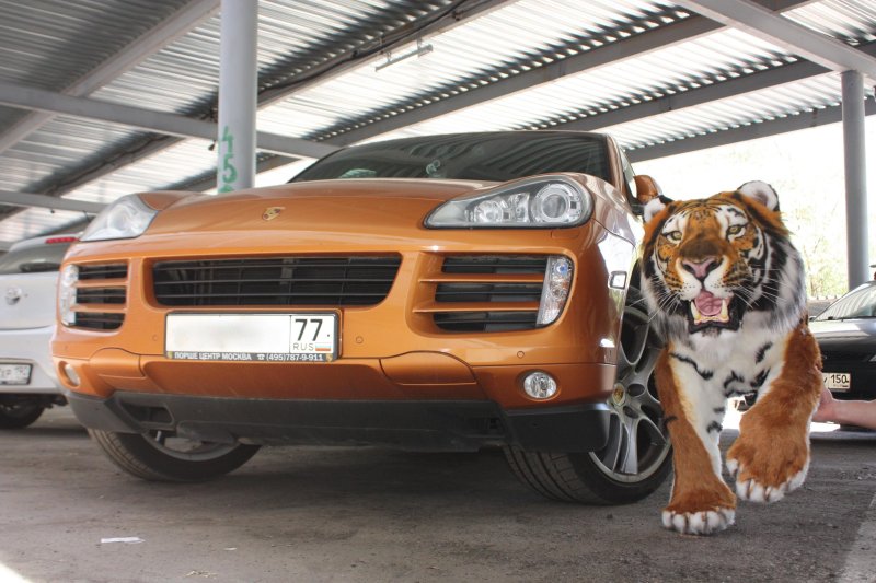 Opel Tigra r17
