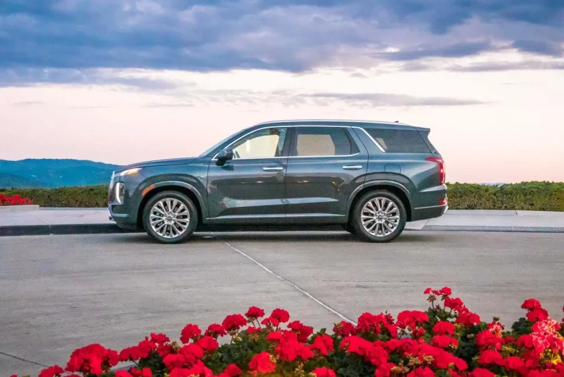 Palisade Hyundai Palisade