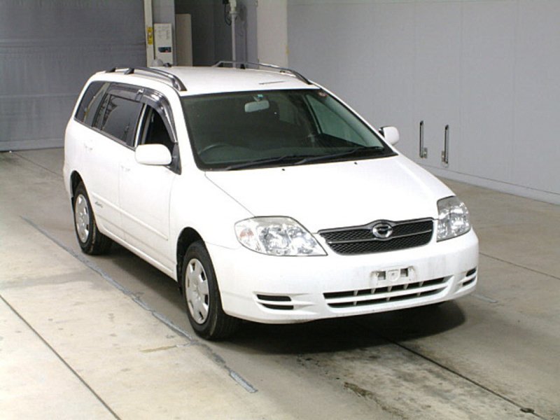 Runx nze124