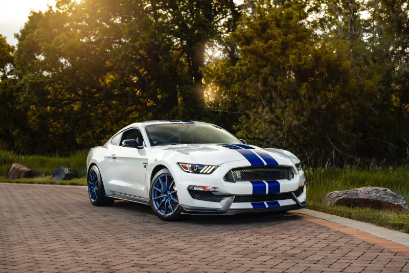 Форд Шелби gt 350