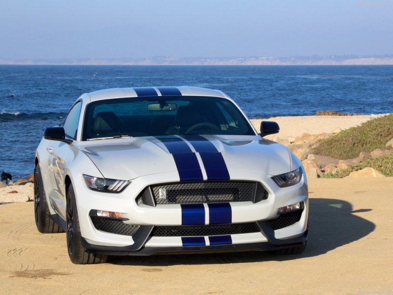 Форд Мустанг Shelby gt350