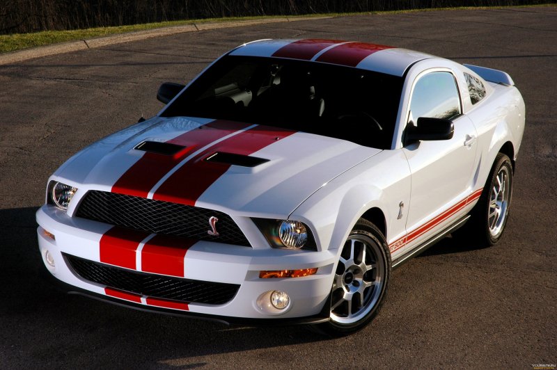 Форт Мустанг Шэлби gt 500