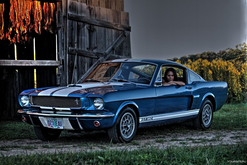 Ford Shelby gt500 2022