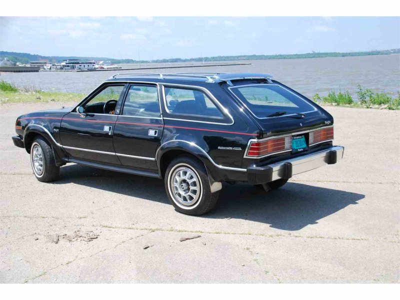 1980 AMC