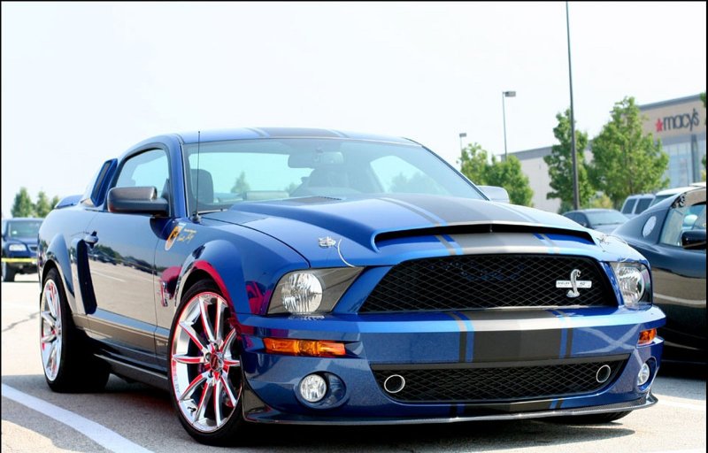 Ford Shelby 2004