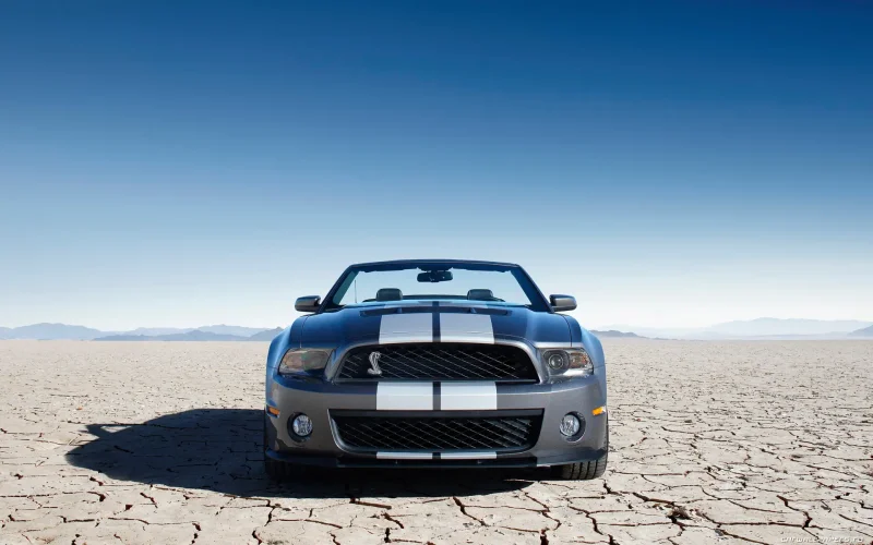 Ford Shelby gt500