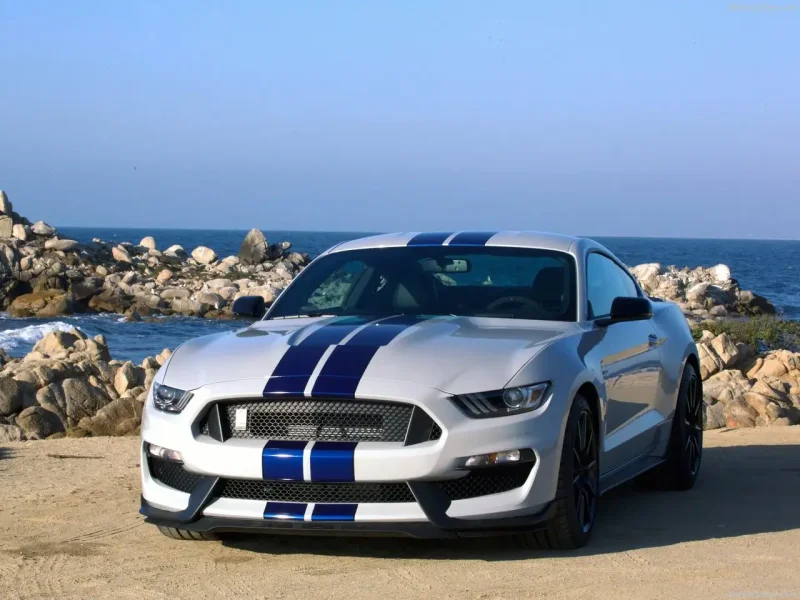 Ford Mustang Shelby gt350 2015