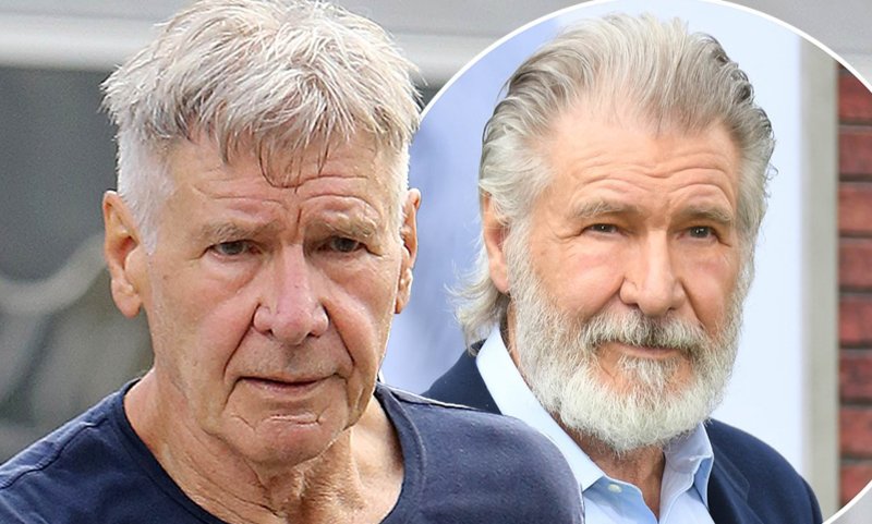 Harrison Ford 2020