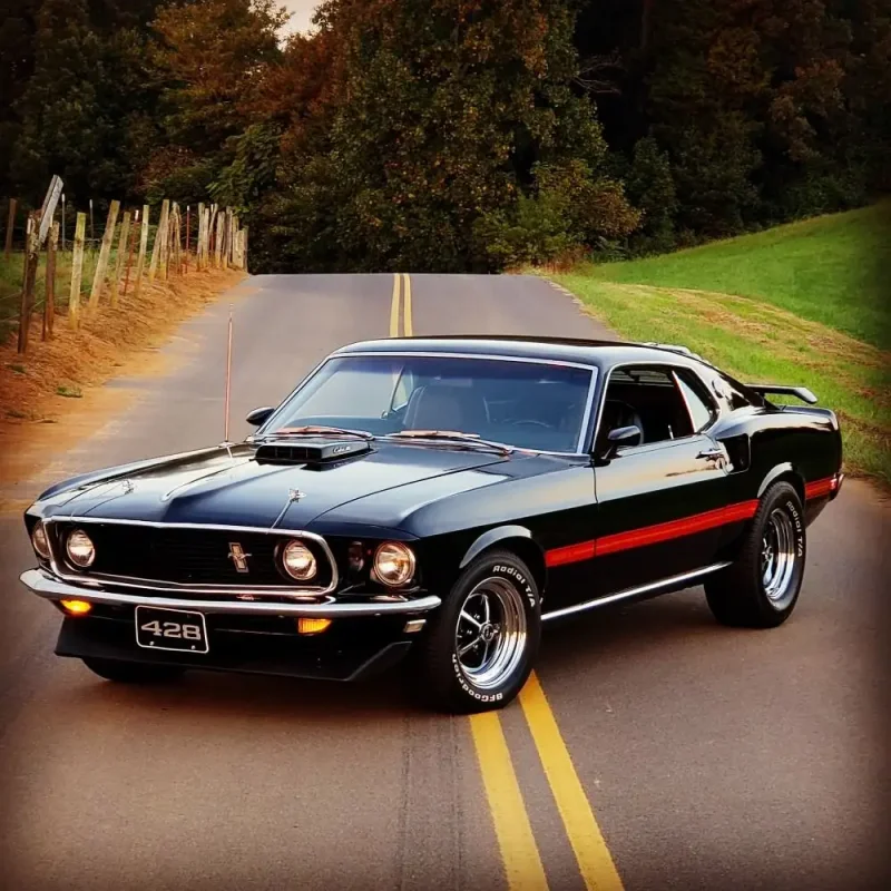 Ford 1969