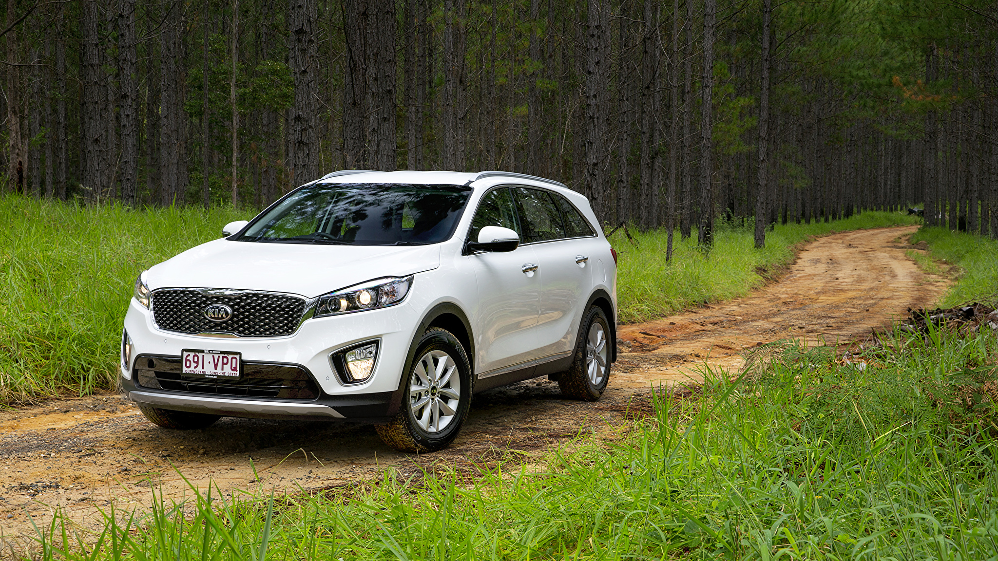 Kia Sorento 2015 White