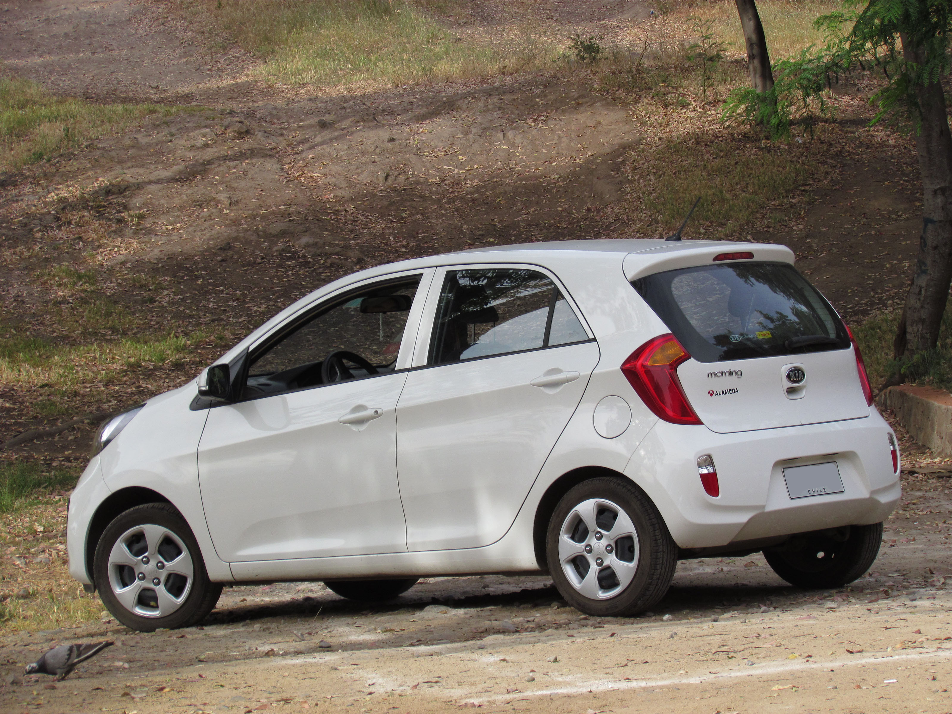 Kia Picanto morning