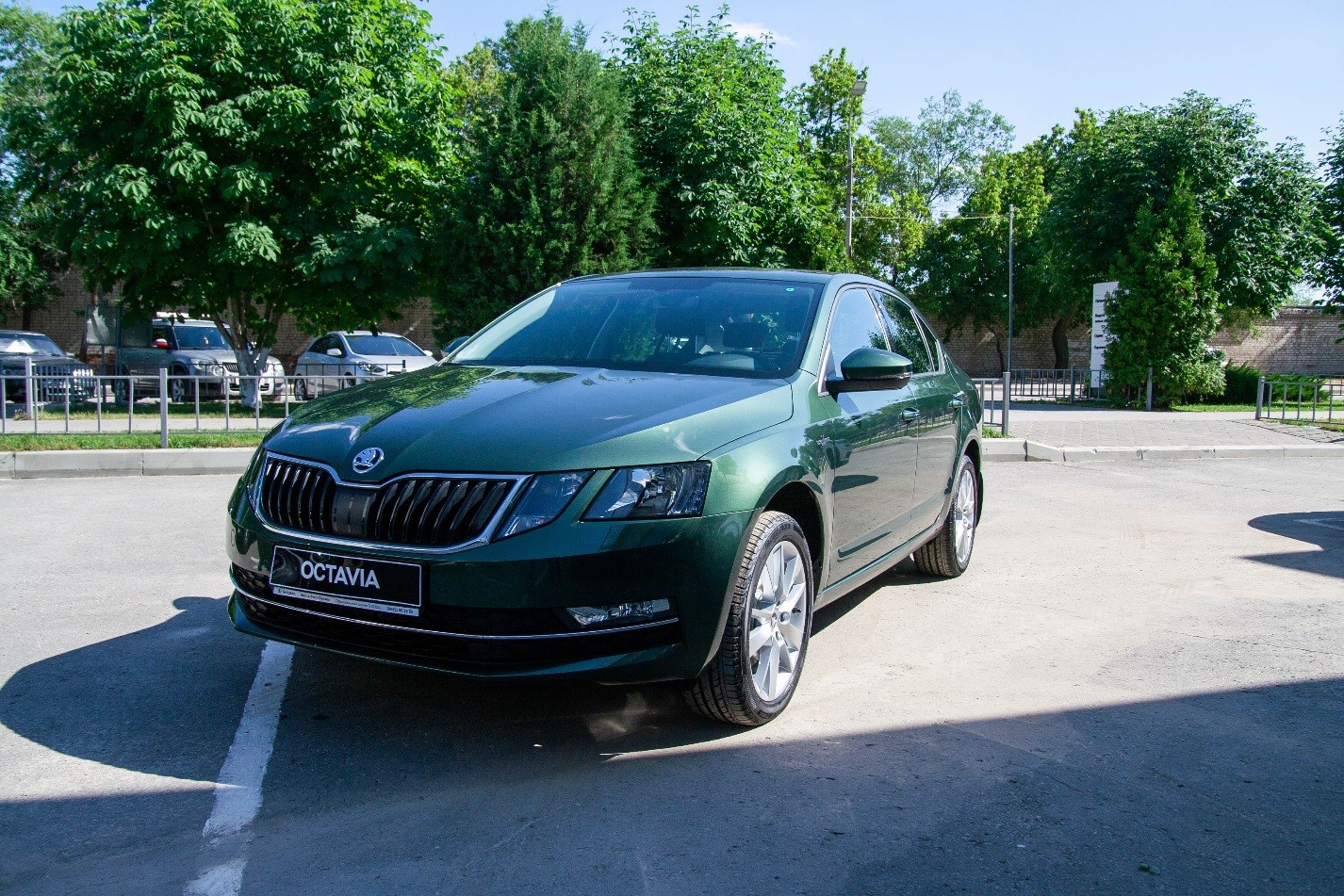 Skoda Octavia a8 зеленая