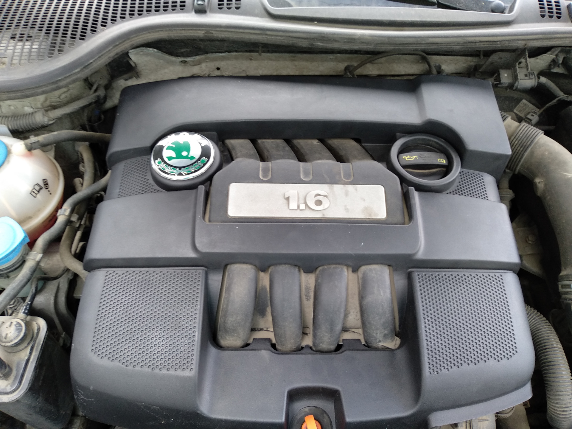 Двигатель шкода тур 1.6. 1.6 MPI мотор Octavia.